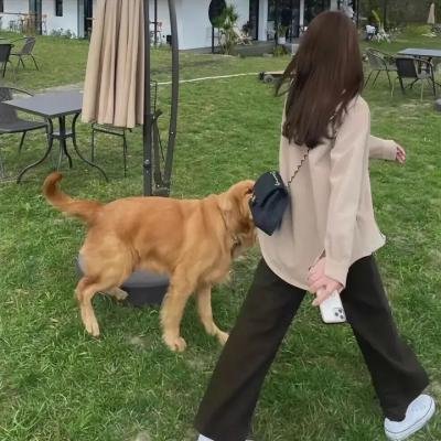 牧野诡事之金豹子