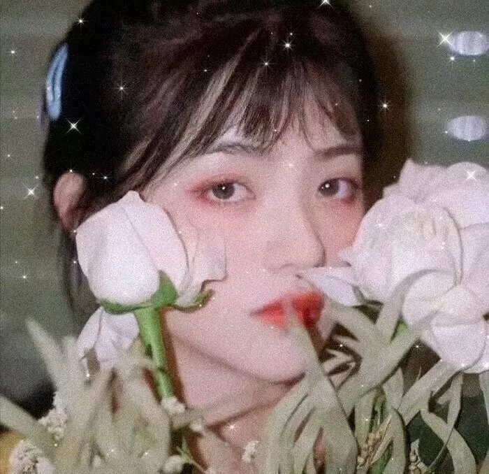 独孤天下之预言